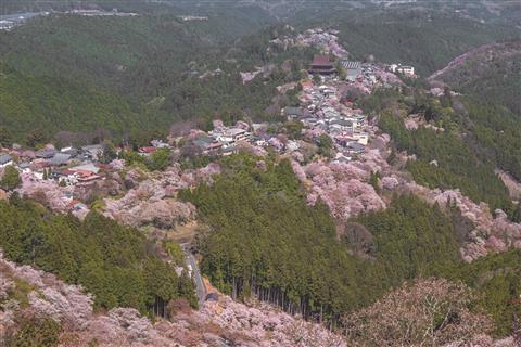 花矢倉展望台より